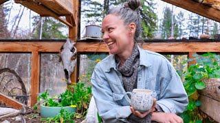 Escaping the Rat Race: My INCREDIBLE Journey to Rural Bliss & Self Sustainability