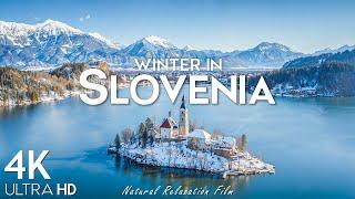 Winter Slovenia 4K - Stunning Footage, Scenic Relaxation Film With Relaxing Music and Winter Videos