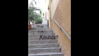 What 's an  Amitor?