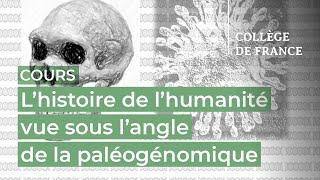 L'histoire de l'humanité vue sous l'angle de la paléogénomique (1) - L. Quintana-Murci (2022-2023)