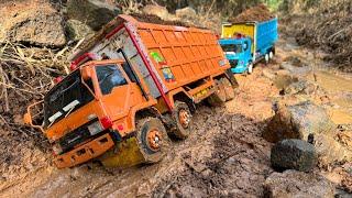 Proyek tambang BARU di tengah hutan || rc dam truk fuso tribal dan Hino 500 melewati jalan berlumpur