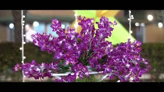 A Magical Family Introduction Night | Bride & Groom Families Unite | Firefly Productions