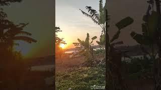 #beachcity #nature #riverside killuru paddayi,Mangalore.