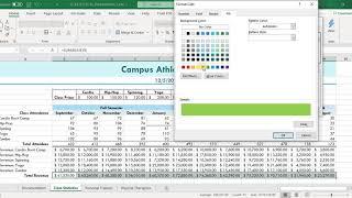 Software Fundamentals Excel Project