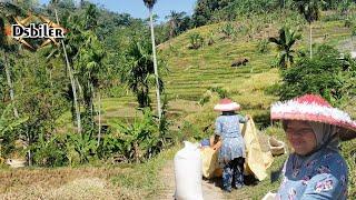 Suasana kampung di pedesaan Sumedang Jawa barat,alam pedesaan yang indah