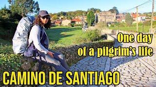 One typical day of a pilgrim's life on the Camino de Santiago