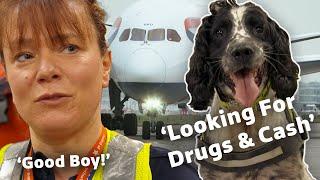 Airline Dogs Conduct Intense Searches | Heathrow  Britains Busiest Airport | S5 E12 | Our Stories