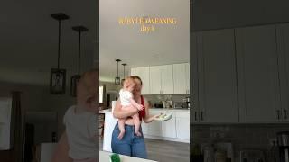Baby led weaning, day 4! #blw #babyledweaning #startingblw #blwmeals