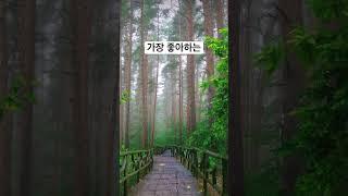빗소리️ #잘자요 #굿밤 #잠들기전 #빗소리asmr