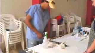 PEACE Mexico Ayuda a los Animales Clinic Wrap 2008.flv