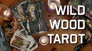 Обзор колоды Таро Дикого Леса (Wild Wood Tarot)