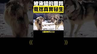  真有靈異2！這些離奇事件被官方證實存在 #靈異事件 #真人真事 #未解之謎