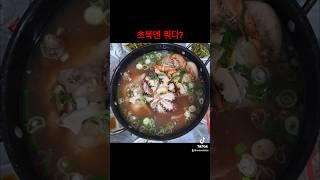 이곳에 몰리는이유 #혼수상태tv #해신탕 #맛집