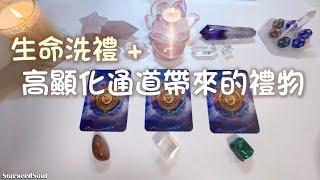 塔羅占卜| 高顯化通道：未來三個月，會完成什麼生命洗礼？將連結怎樣的未來好運？| 守護靈的建議與指引(Timeless)