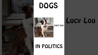 "Dogs in Politics" #dogs #dog #shorts #short #politics #animals #broccoleeacademy