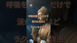 呼吸を整えるだけで、涙が出るほどラクになる理由。#ストレス緩和#呼吸を整える#自律神経を整える#仏教の教え#感情の癒し#涙の理由#ブッダの教え#ブッダの言葉#shorts