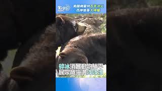 極端氣候慘! 美國佛蒙特百年洪災 西岸變身大烤爐｜TVBS新聞@TVBSNEWS02  #shorts