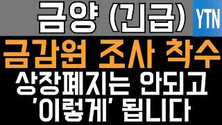 금양 주가전망 - 긴급) 금감원 조사 착수! 상장 폐지는 안되고 '이렇게' 됩니다!