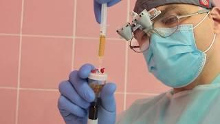 Резекция верхушки корня зуба, дентальная имплантация, PRP. Профессор Орлов А.А.