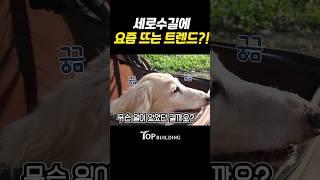 패션과 뷰티 '세로수길'에서 요즘 뜨는 새로운 트렌드?! ㅣ#short #세로수길 #가로수길