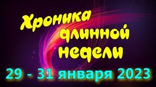 Хроника длинной недели 29 - 31 января 2023. Напряженная поездка в Искитим.