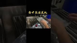 Automatic dual head bib filling machine