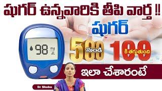 Reversing Diabetes Naturally | Blood Sugar Diet Plan | Dr. Shobha | Hi Tv Health