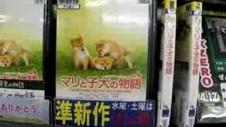 Japanese DVD/Video Rental Store