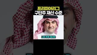 프리미어리그 구단주 재산 수준