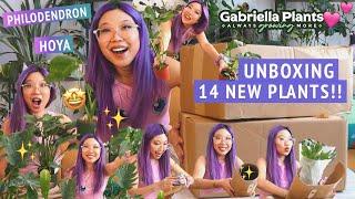 MEGA HAUL!! New philodendron, hoya  Unboxing 14 houseplants from Gabriella Plants 