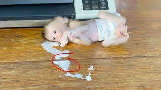 Holy Bless!! Baby DORN Jump Throwing His Tantrum Until Drain Milk On Table