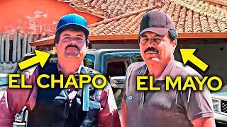 El Mayo: The Real Boss Of Sinaloa Cartel