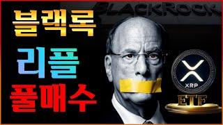 [ 리플코인 속보 ] 블랙록 드디어 움직였다! 리플 ETF 출시시기 유출!