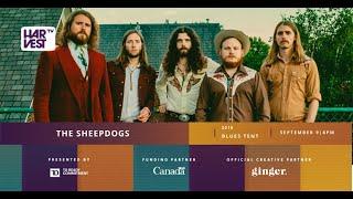 The Sheepdogs - Live 2018: Virtual Harvest presented by TD Ready Commitment