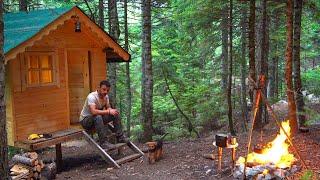 Camping in a Wooden Cabin with My Dog - Cooking - Sounds of Nature