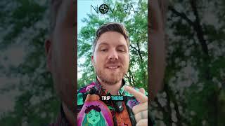   Your VIP Theme Park & River Cruise Itinerary Expert! 