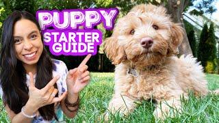 FIRST DAYS WITH NEW PUPPY!  Everything you need to know and do