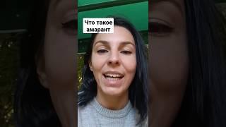 Полезное растение, культивируемое уже 8000 лет #кения #ппеда #суперфуд