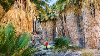 Backpacking California's Largest State Park