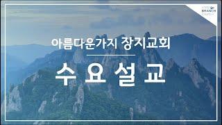 2024.07.31 수요설교 | 창세기 48:1-22 야곱의 축복 | 양신혜 전도사