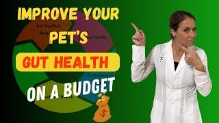 How to Improve Your Pet's Gut Health on a Budget - Holistic Vet Advice