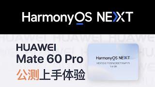 流畅吗？适配如何？鸿蒙 NEXT + Mate 60 Pro 公测快速上手