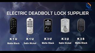 Betech--Smart Deadbolt Lock Manufacturer-3