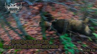 Drückjagd auf Sauen / Drückjagd im väterlichen Revier  // Vlog 38