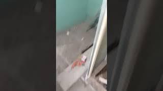 гипсокартон отделка сантехника ремонт под ключ