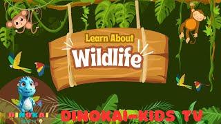 Explore the Wild: Fun Adventure with Amazing Animals! | Learning & Funny | DINOKAI - KIDS TV