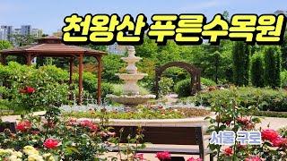 천왕산,푸른수목원,항동저수지탐방(서울 구로 항동. 2024,05,29 .수)