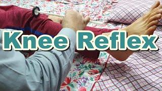 How to Do Knee / Patellar Reflex | Knee Jerk | Deep Tendon Reflexes | L2, L3, L4 Spinal Segments