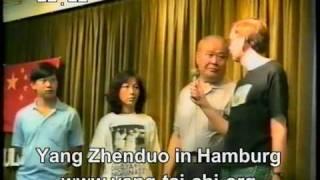 Tai Chi Ausbildung/ DVDs Yang Zhenduo