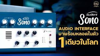 AUDIO INTERFACE มาพร้อมหลอดในตัว 1 เดียวในโลก | AUDIENT SONO